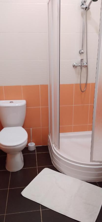 Apartmany Sramek Stříbro Exteriör bild